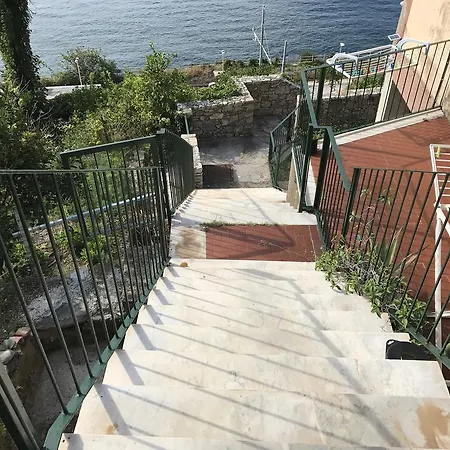 Cinzia *