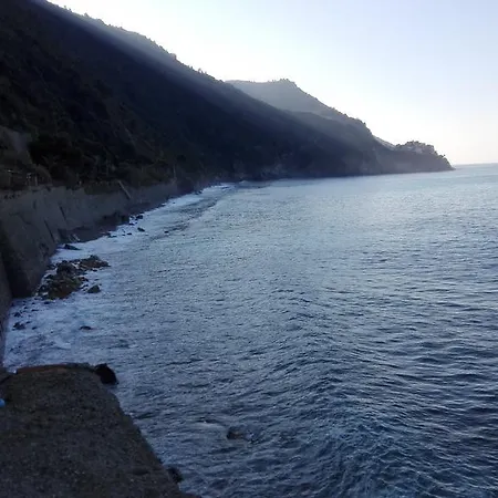 Cinzia