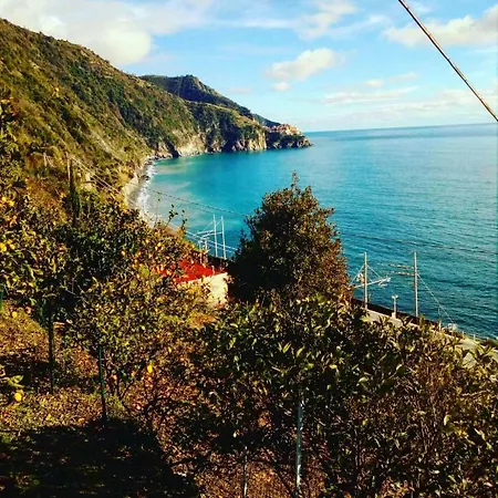 Cinzia *