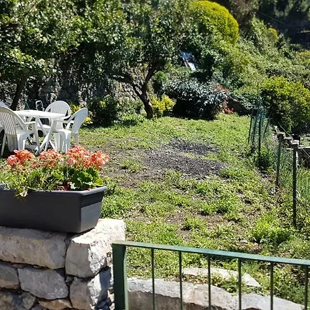 Cinzia *