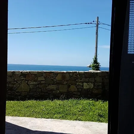 Cinzia *