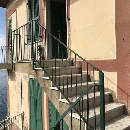 Cinzia